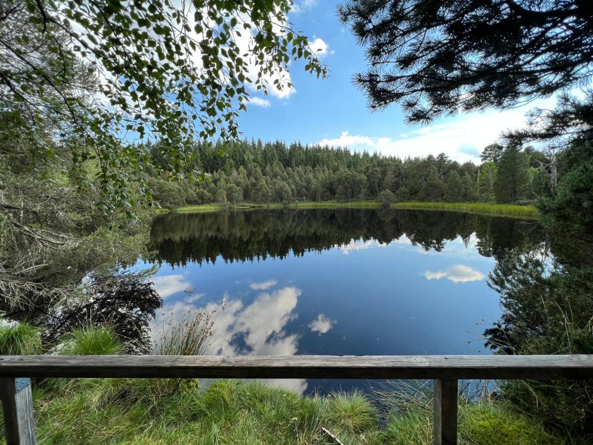 Apartment Annis Panoramablick Pool Sauna Tennis Schonach im Schwarzwald Exteriör bild