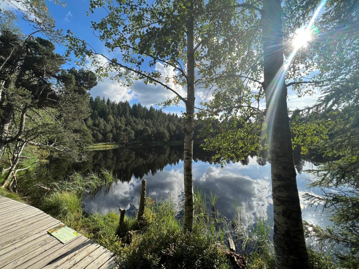 Apartment Annis Panoramablick Pool Sauna Tennis Schonach im Schwarzwald Exteriör bild